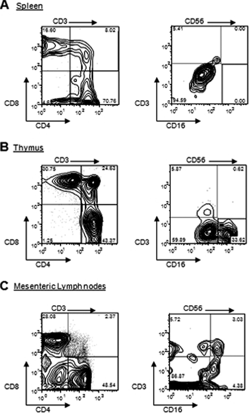 FIG. 2.