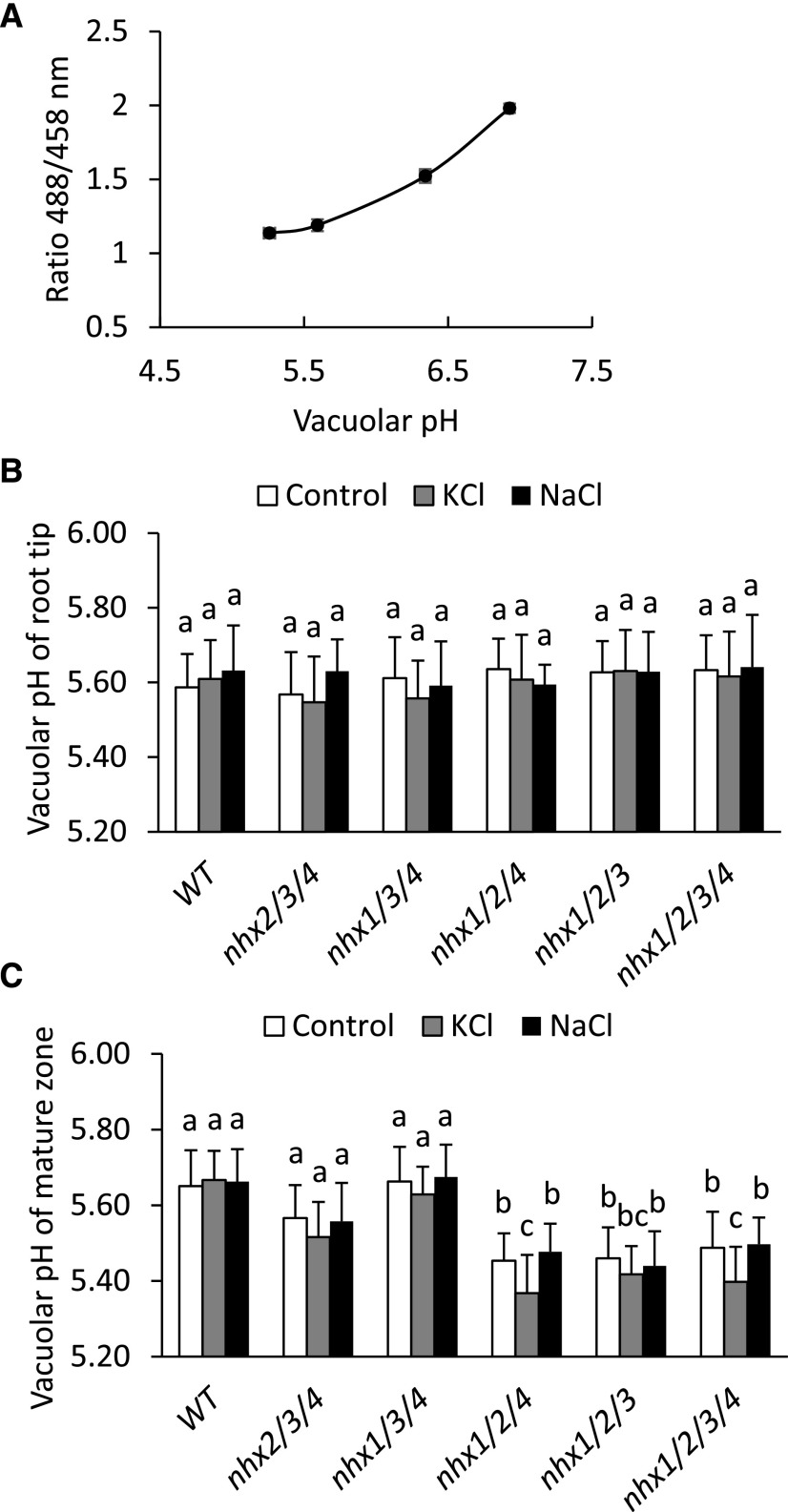 Figure 4.