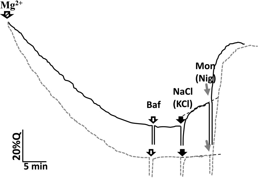 Figure 8.