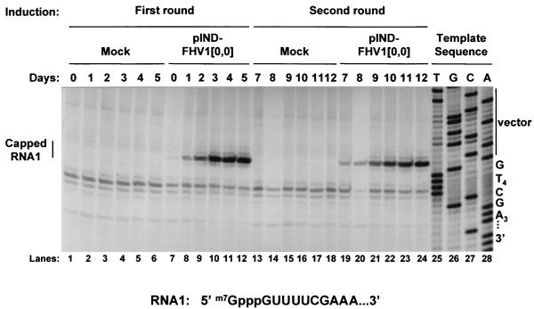 FIG. 7