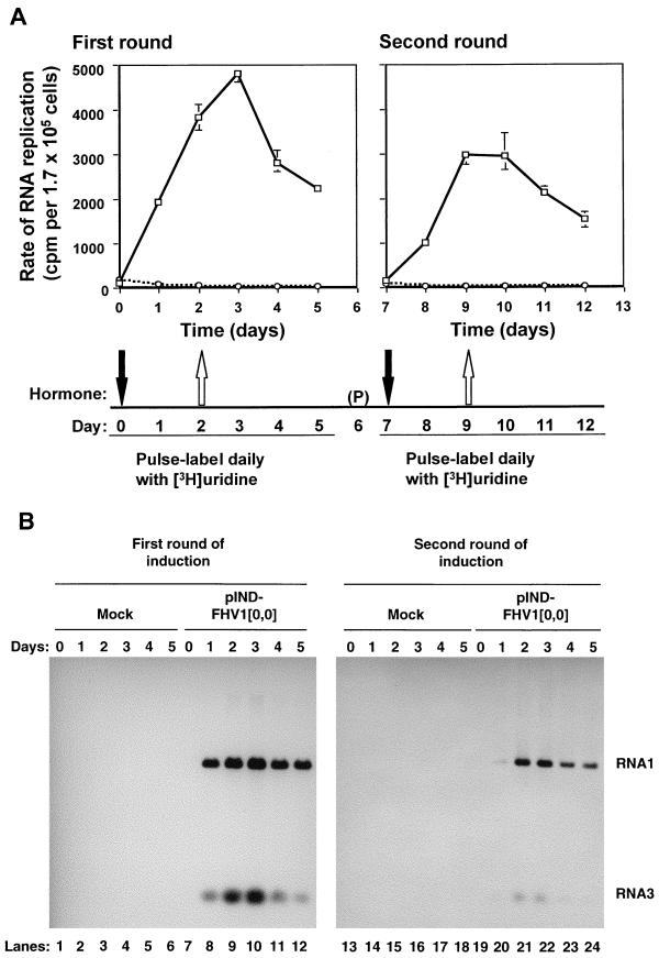 FIG. 6