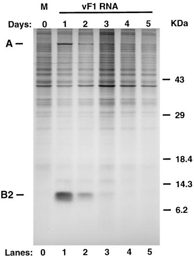 FIG. 3