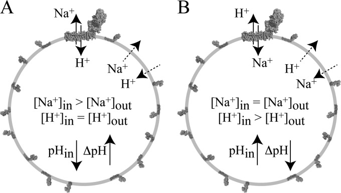 FIGURE 3.