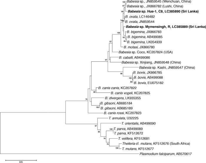 FIG 3