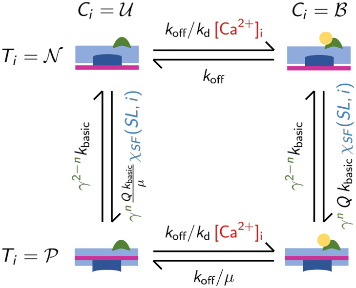 Fig 10