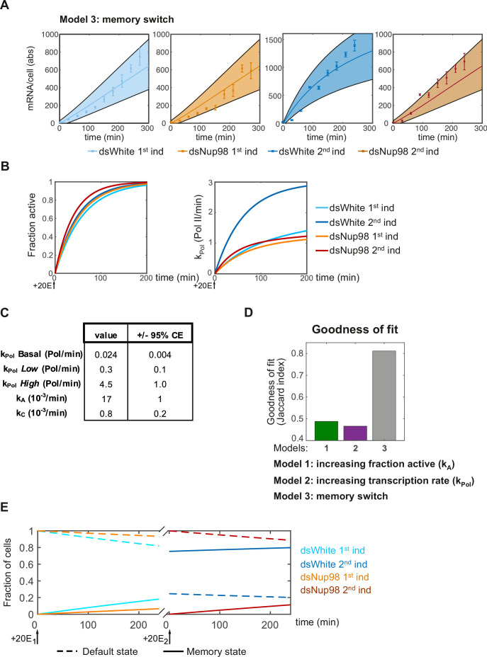 Figure 4—figure supplement 1.