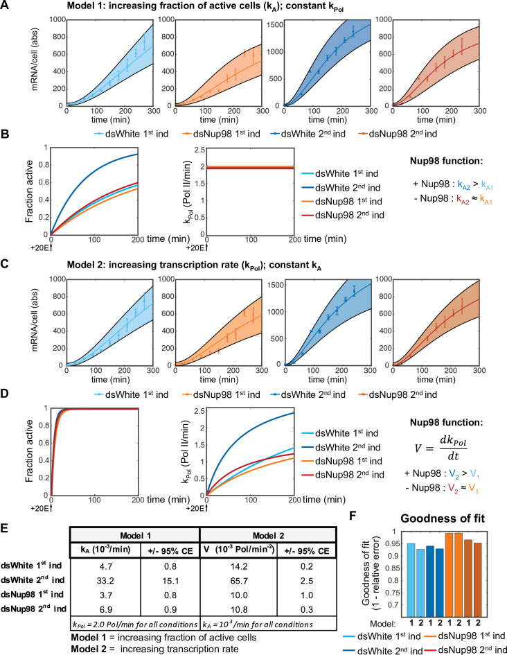 Figure 3—figure supplement 1.