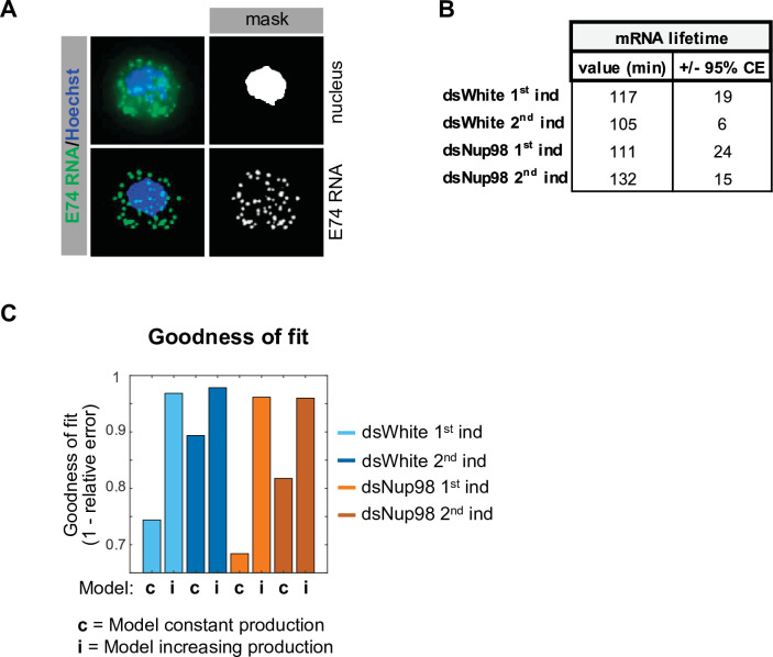 Figure 2—figure supplement 1.