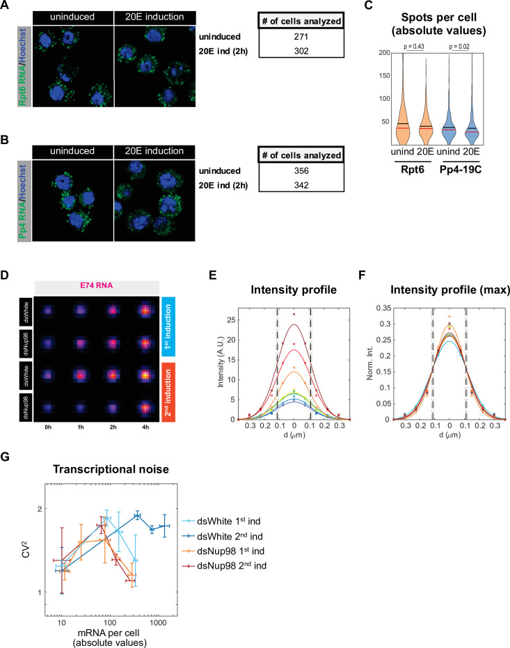 Figure 1—figure supplement 2.