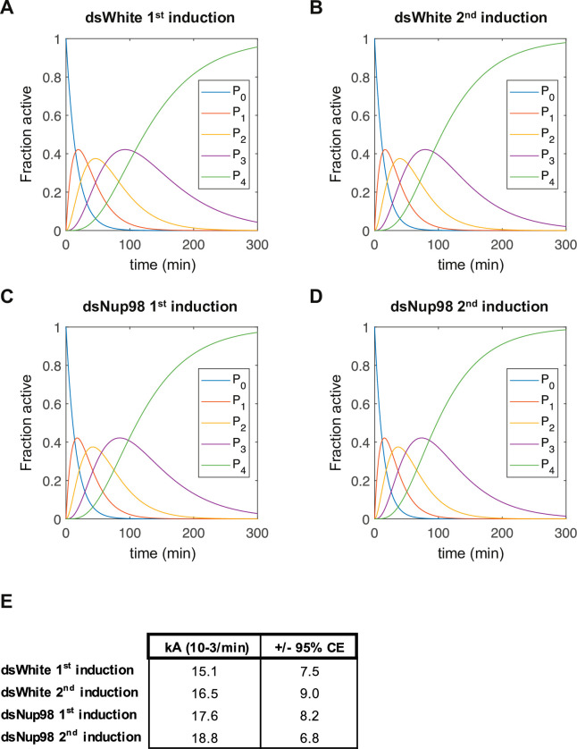 Figure 3—figure supplement 2.