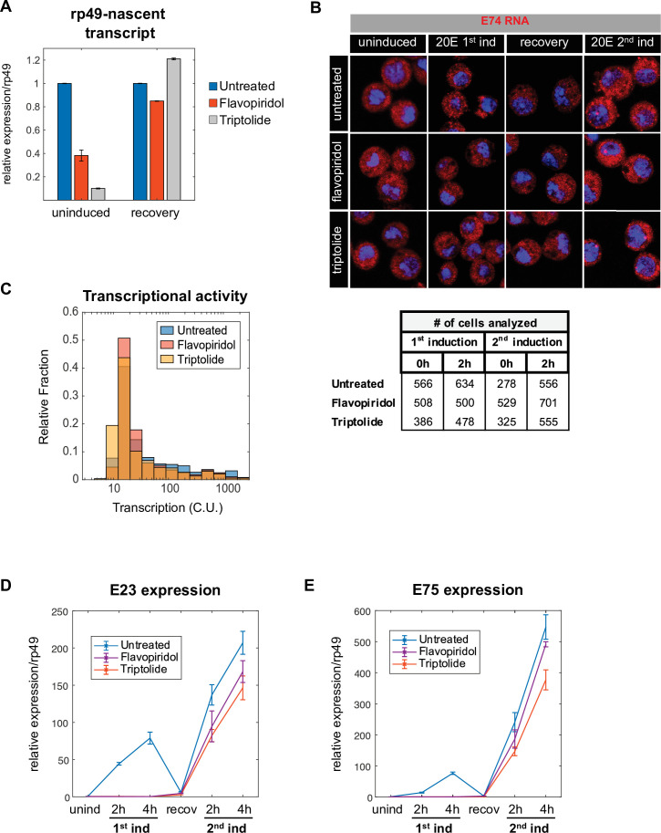 Figure 5—figure supplement 1.