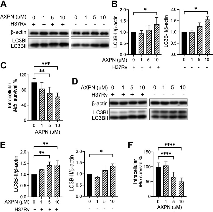 FIG 4