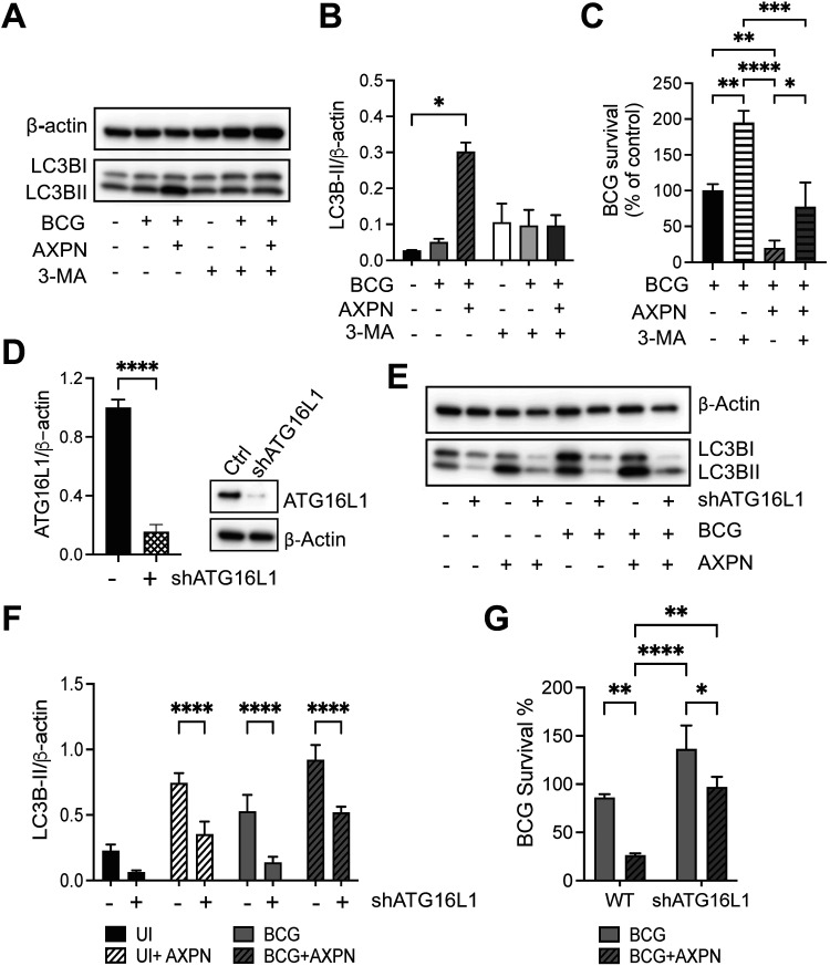 FIG 3