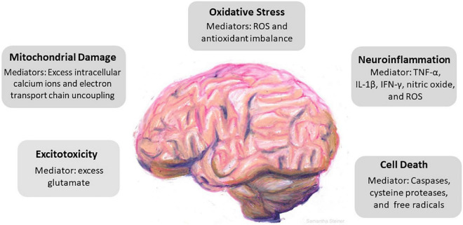 FIGURE 1