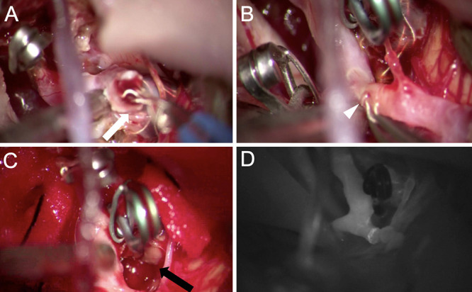 FIG. 4.