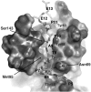FIG. 9.
