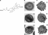 FIG. 11.
