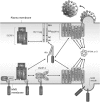 FIG. 8.