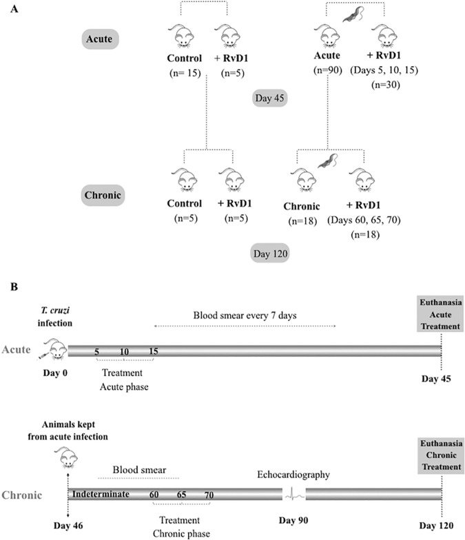 FIG 1