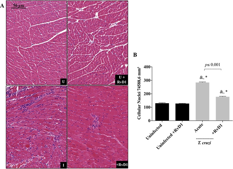 FIG 6