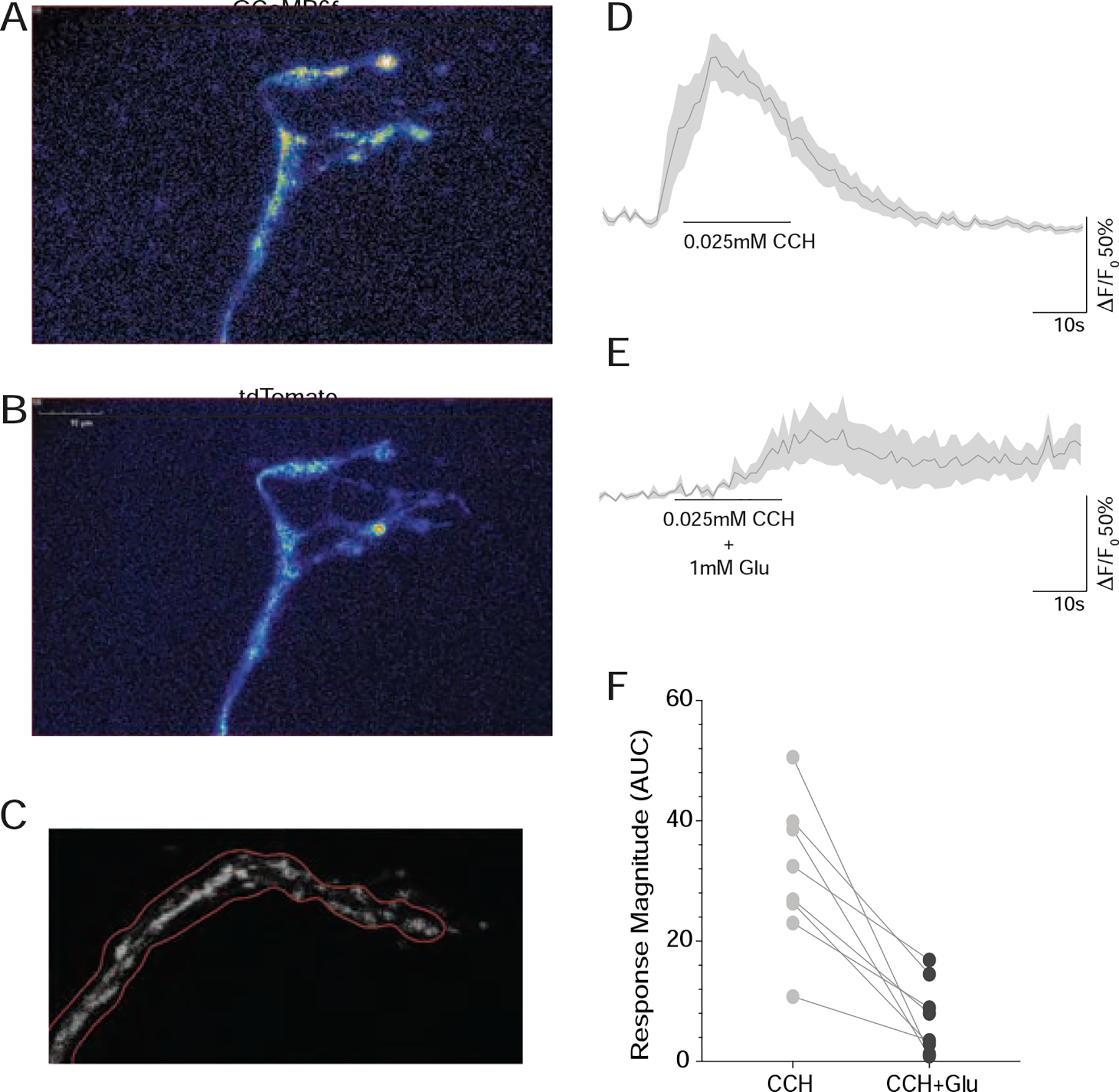 Figure 6.