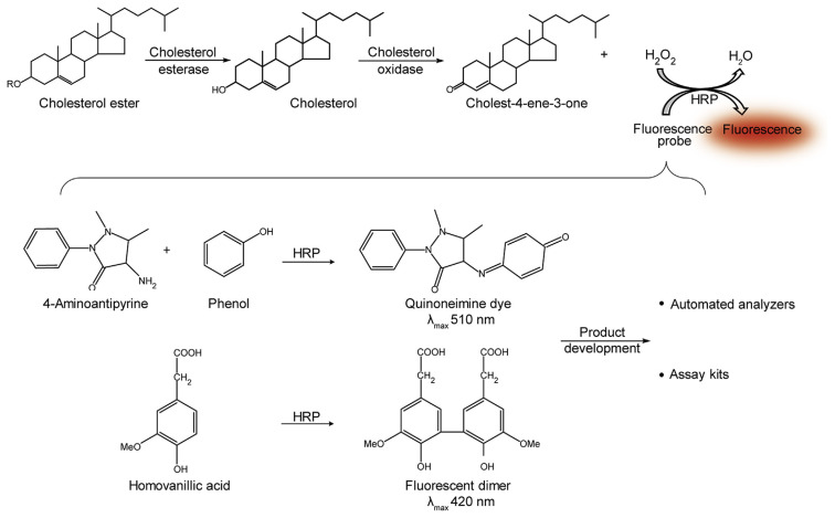 Fig. 3