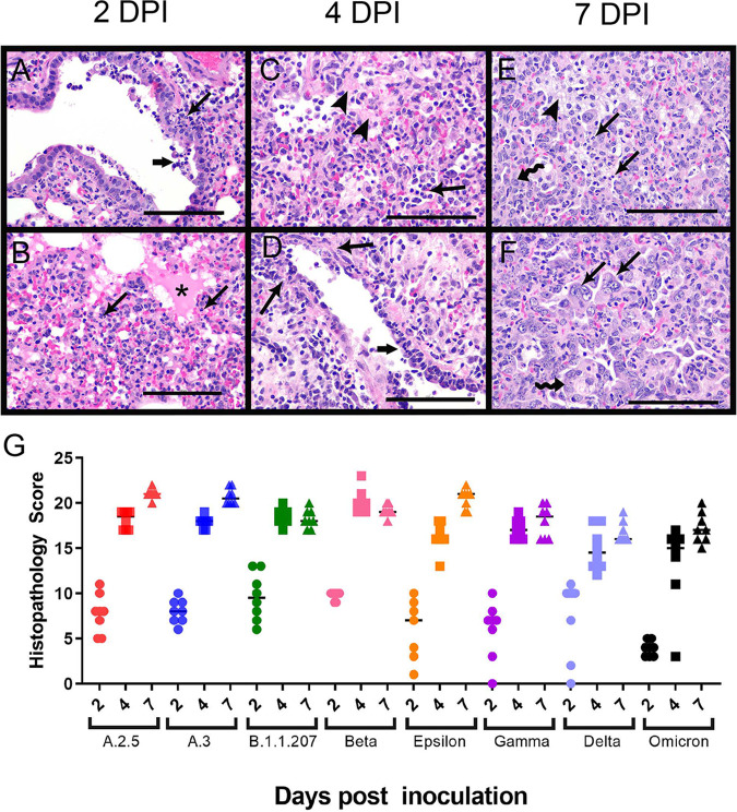 FIG 3