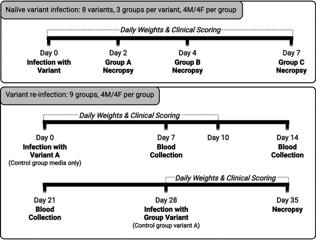 FIG 1