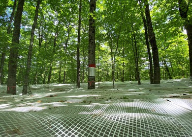 graphic file with name ECE3-15-e71416-g004.jpg