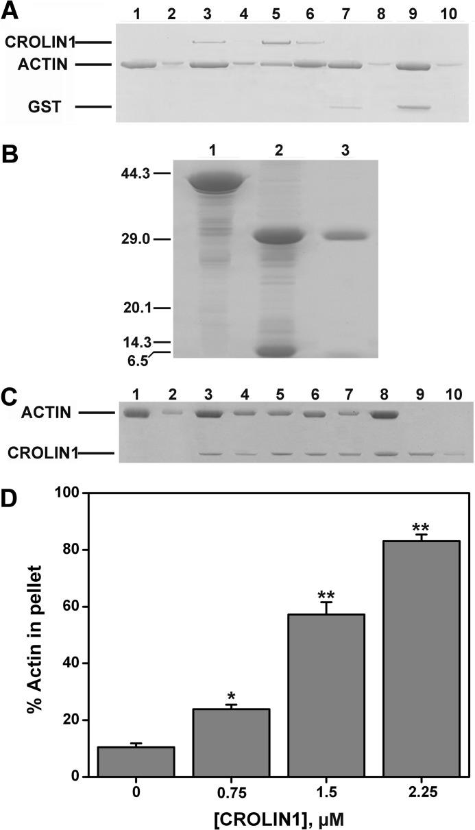 FIGURE 5.