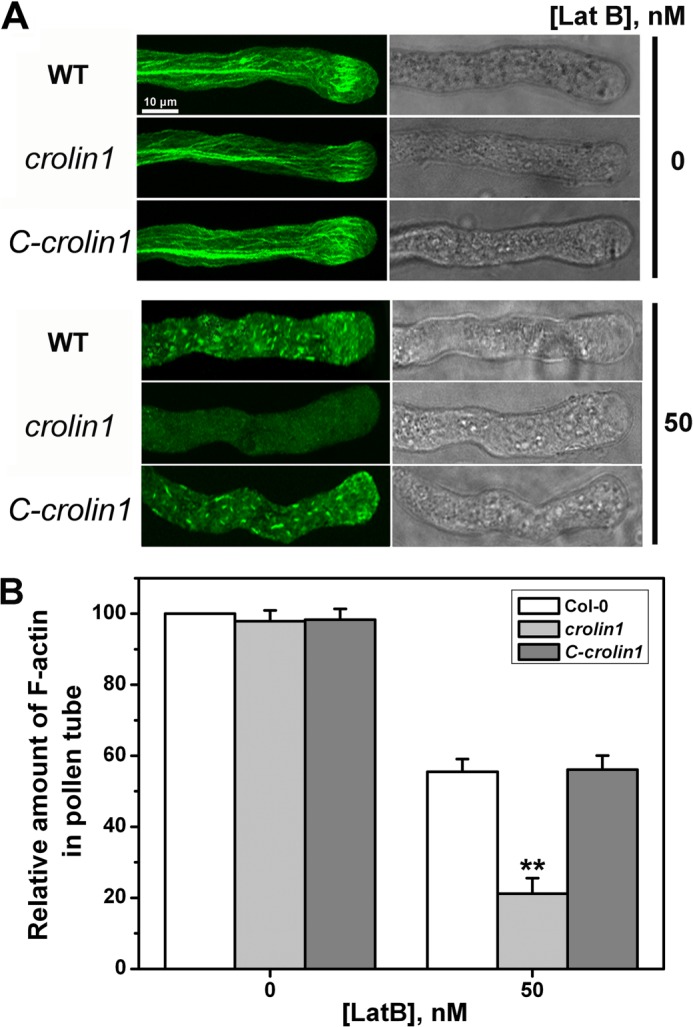 FIGURE 10.