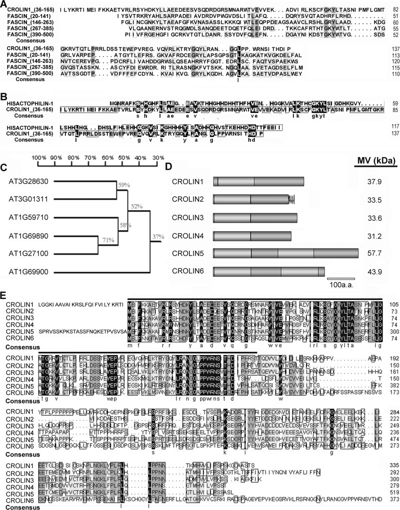 FIGURE 1.