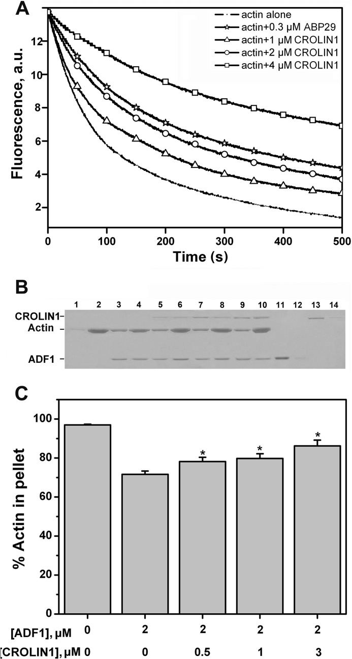 FIGURE 6.