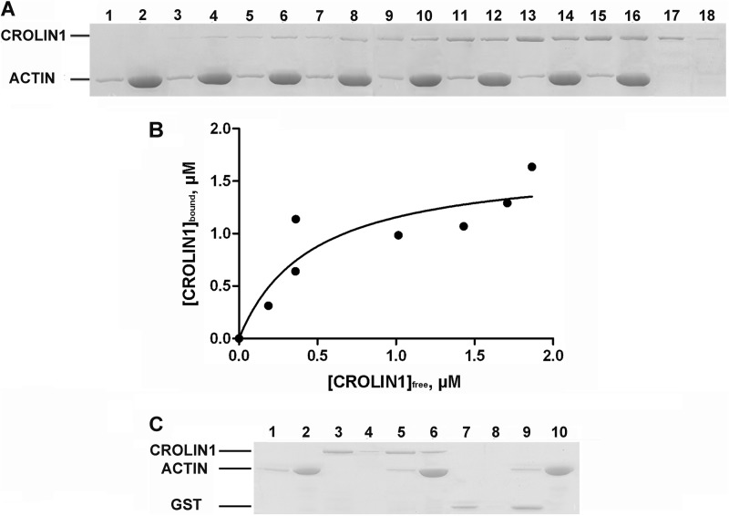 FIGURE 3.