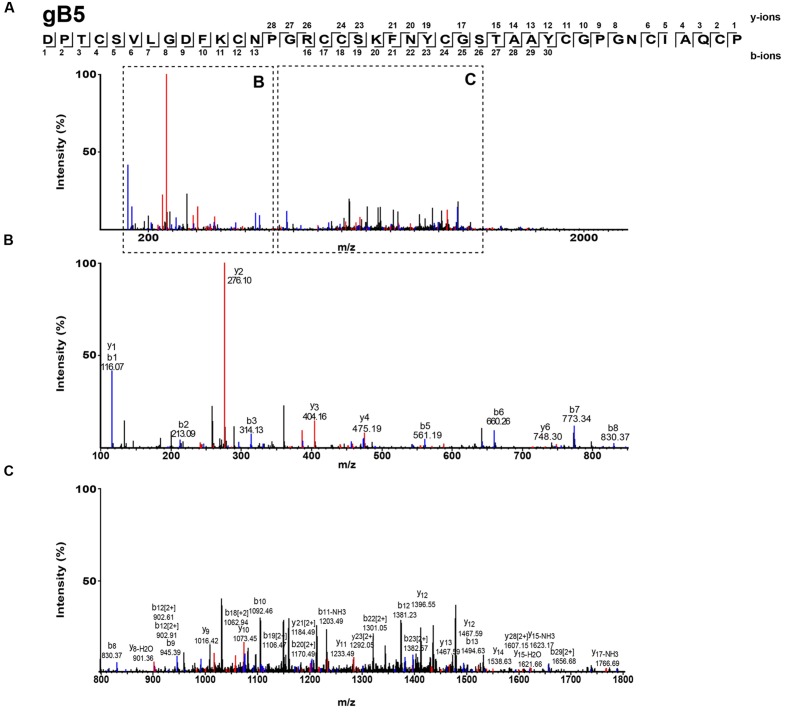 FIGURE 3