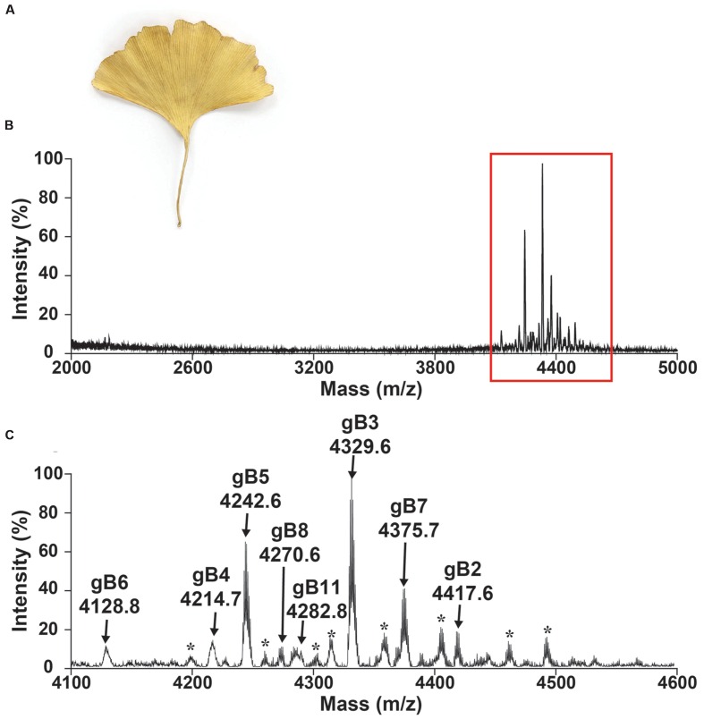 FIGURE 2