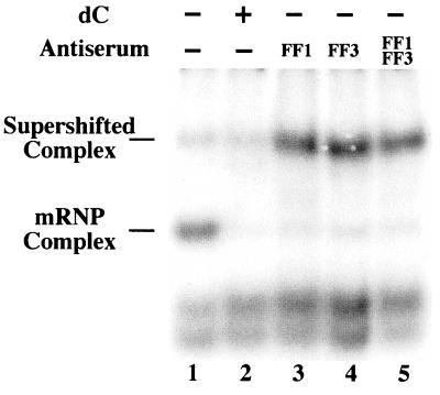 FIG. 5