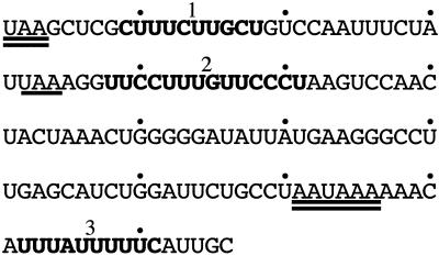 FIG. 6