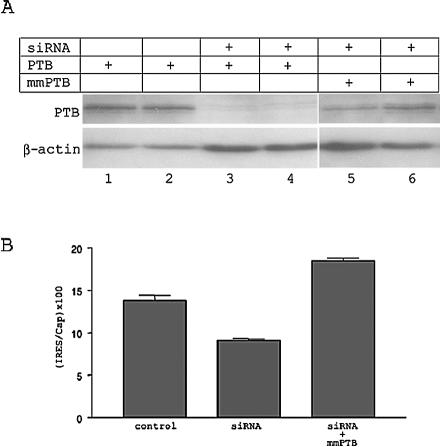 FIG. 8.