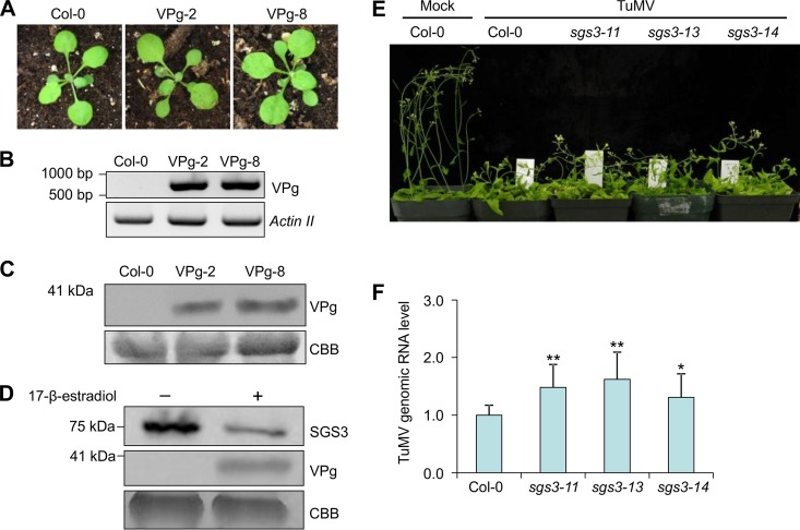 FIG 6