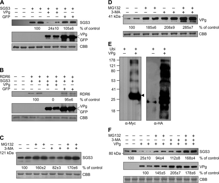 FIG 5