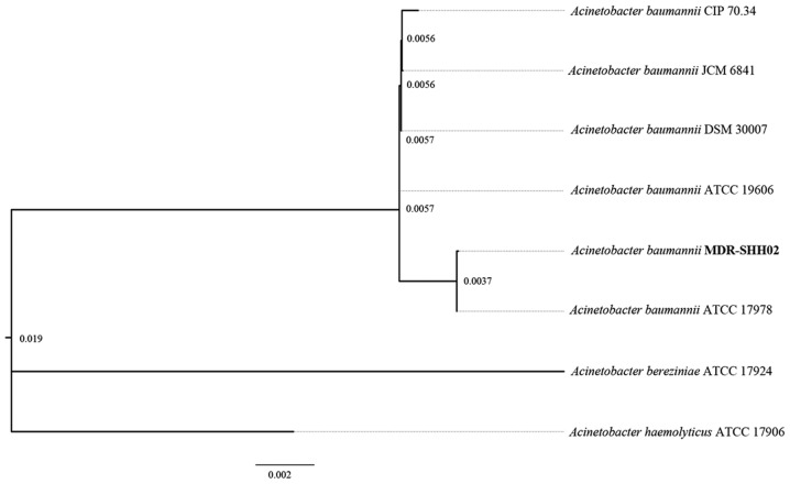 Figure 2