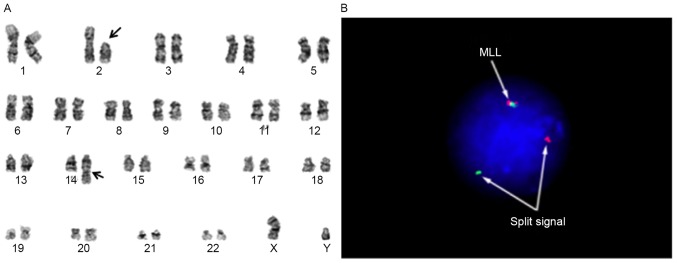 Figure 1.