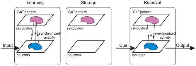 Figure 13