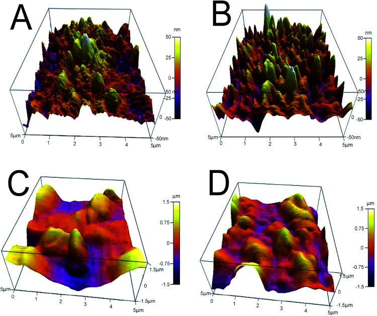 Fig. 3