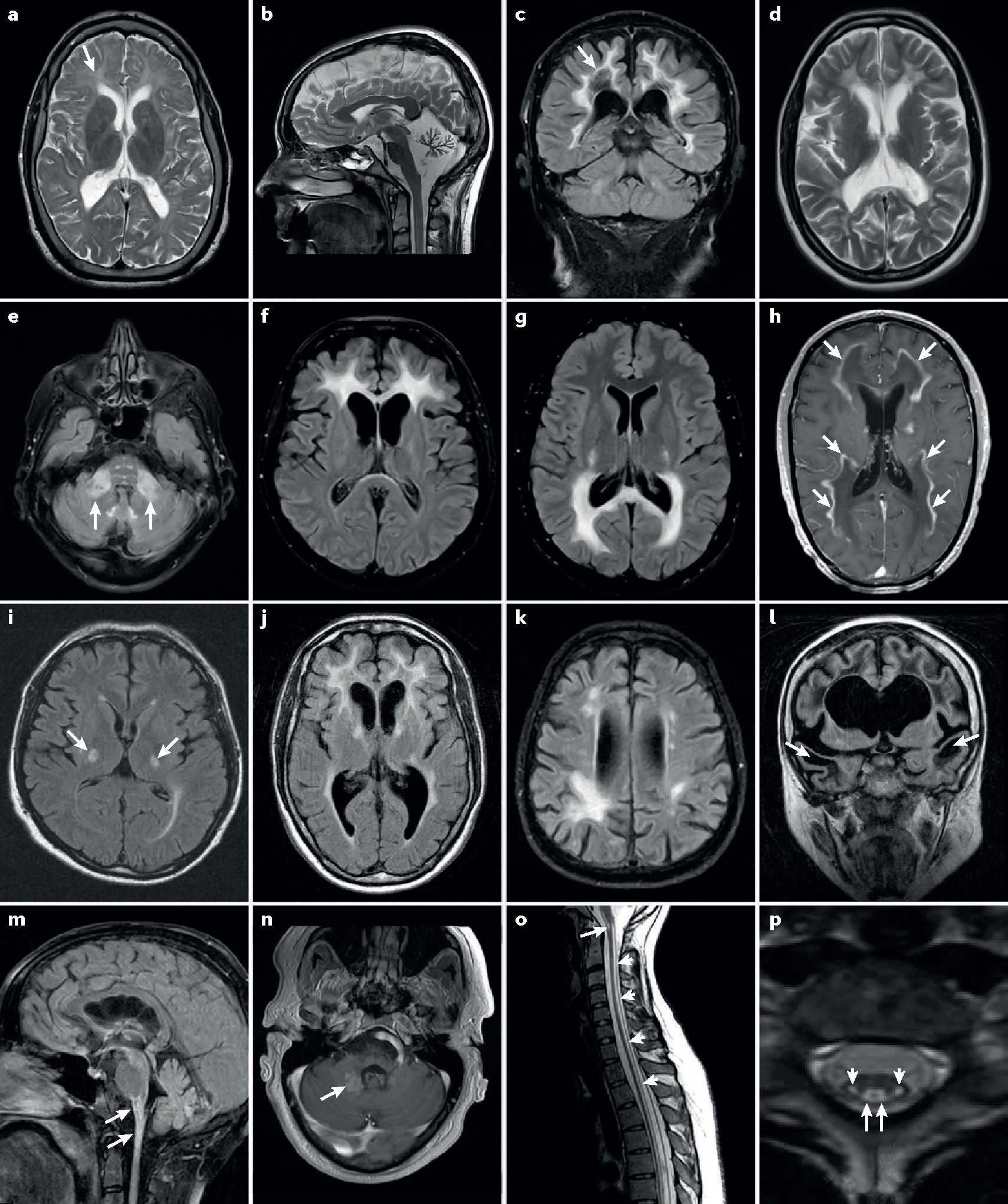 Figure 2 |