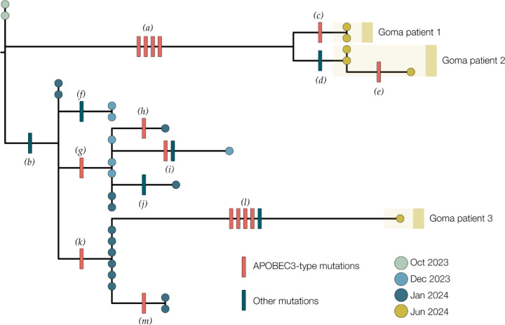 Figure 3: