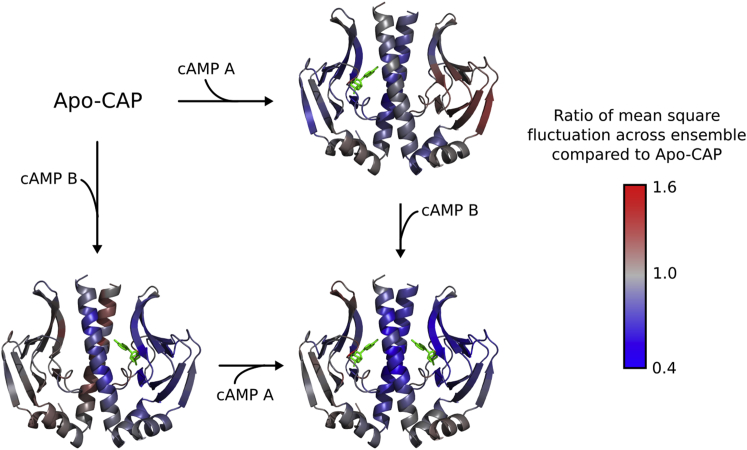 Figure 5