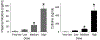 Fig. 2: