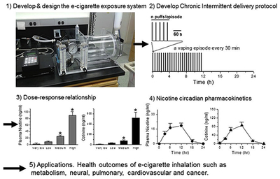 graphic file with name nihms-1536412-f0005.jpg